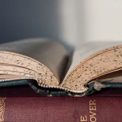 Kobieta w literaturze: ewolucja, archetypy i maturalne wskazówki