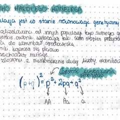 Prawo Hardy'ego-Weinberga: populacja w stanie równowagi genetycznej. Wzór (p+q)²=p²+2pq+q² opisuje częstość genotypów.