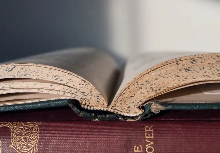 Kobieta w literaturze: ewolucja, archetypy i maturalne wskazówki