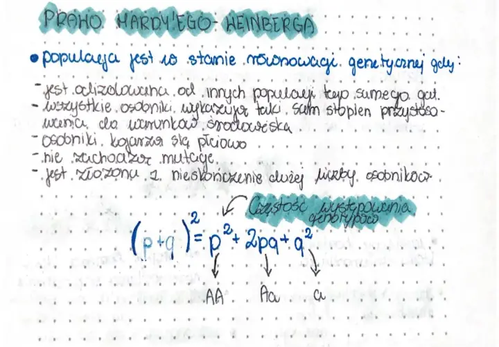 Prawo Hardy'ego-Weinberga: populacja w stanie równowagi genetycznej. Wzór (p+q)²=p²+2pq+q² opisuje częstość genotypów.