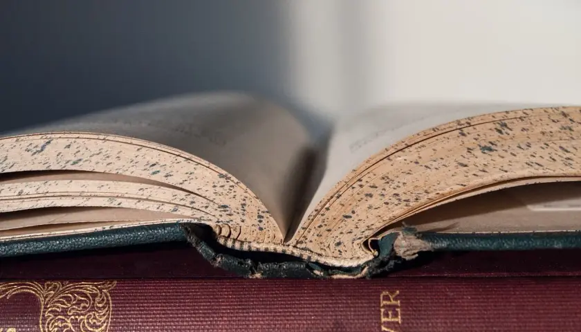 Kobieta w literaturze: ewolucja, archetypy i maturalne wskazówki