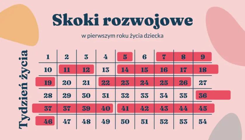 Ile trwa skok rozwojowy? Odpowiedź i kalendarz dla rodziców