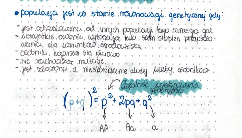 Prawo Hardy'ego-Weinberga: populacja w stanie równowagi genetycznej. Wzór (p+q)²=p²+2pq+q² opisuje częstość genotypów.
