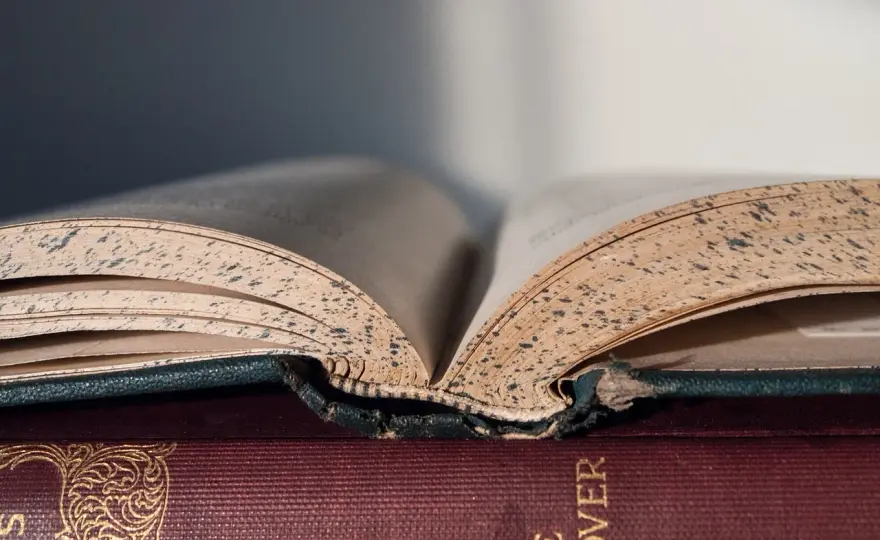 Kobieta w literaturze: ewolucja, archetypy i maturalne wskazówki