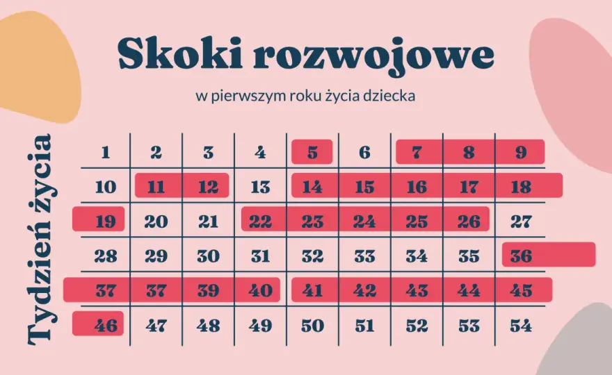 Ile trwa skok rozwojowy? Odpowiedź i kalendarz dla rodziców