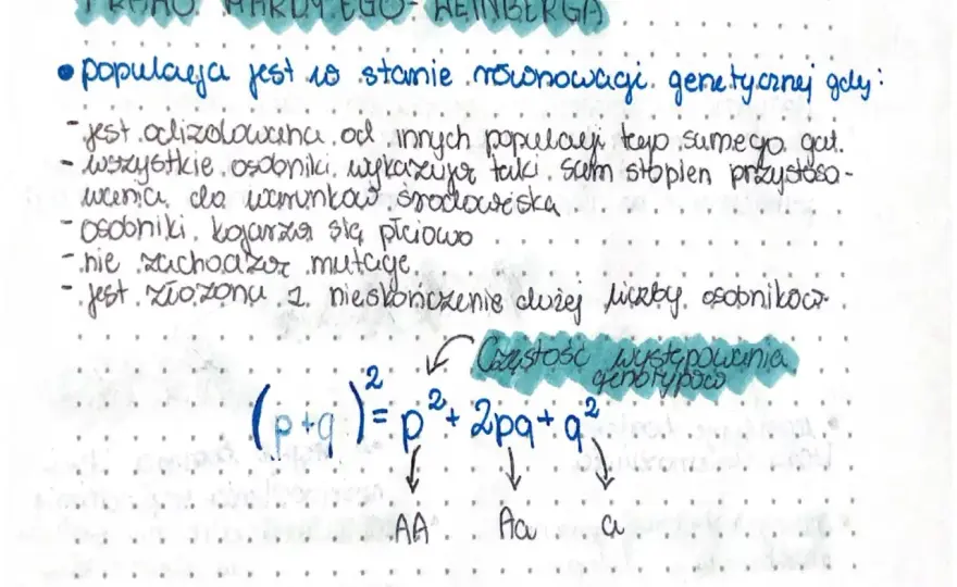 Honor w literaturze: Ewolucja, przykłady, jak analizować na maturze