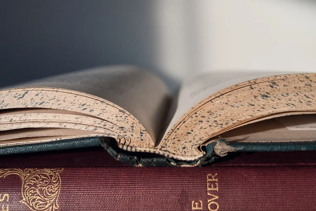 Kobieta w literaturze: ewolucja, archetypy i maturalne wskazówki