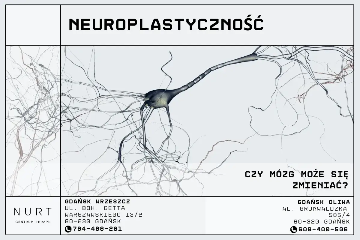neuroplastyczność m&oacute;zgu infografika